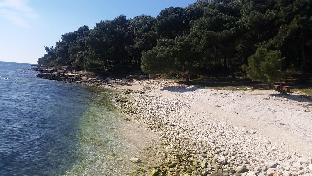 Ecio Apartman