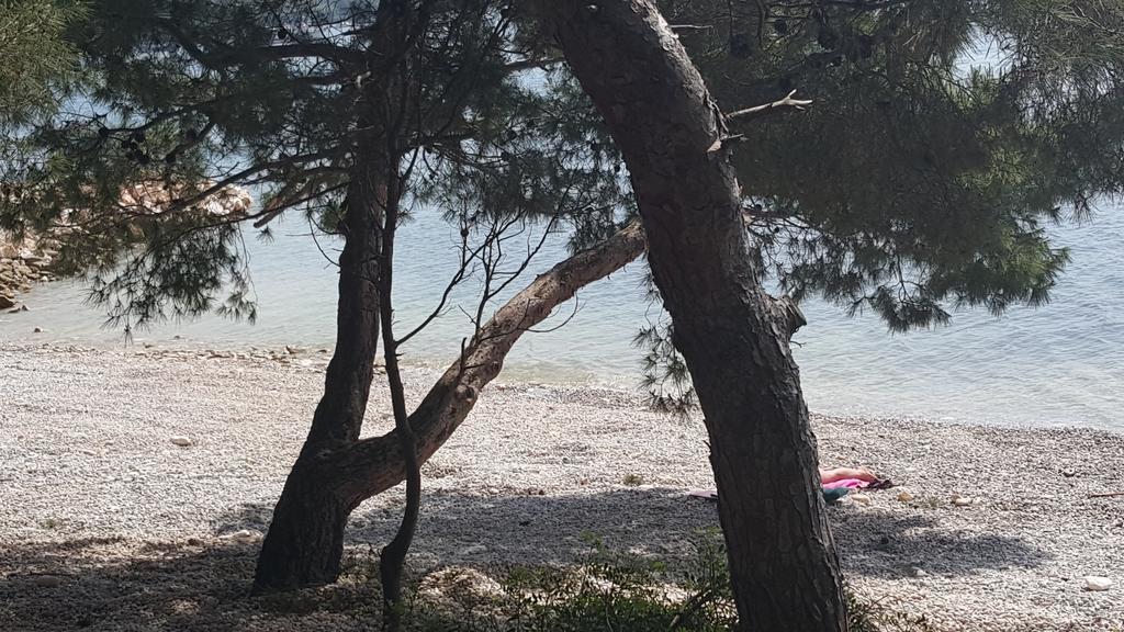 Ecio Apartman Banjole