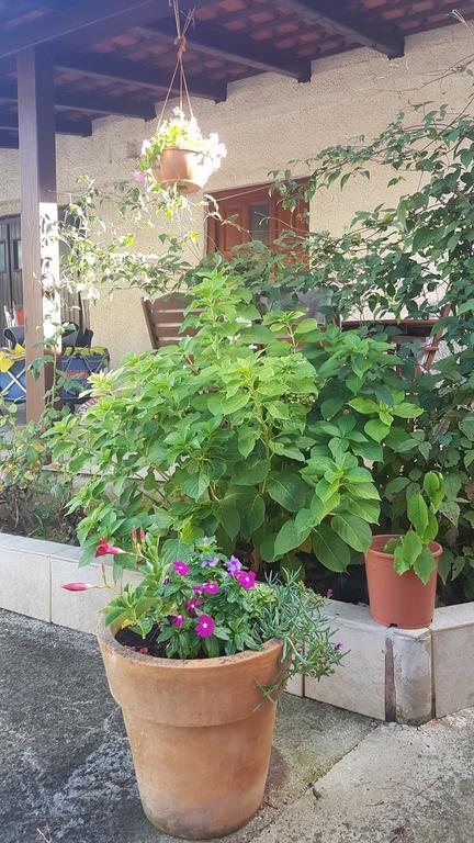 Apartman Ecio Banjole